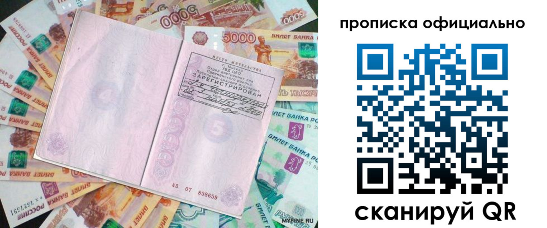 прописка поиск в Брянской области
